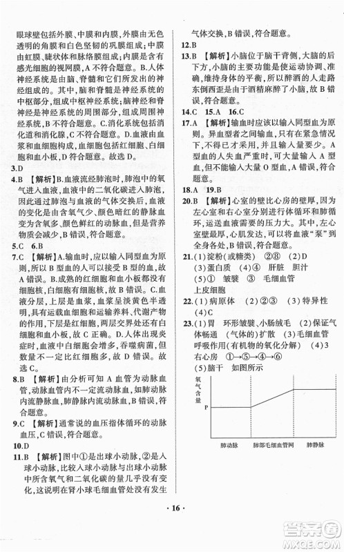 山东画报出版社2022一课三练单元测试七年级生物下册JN济南版答案