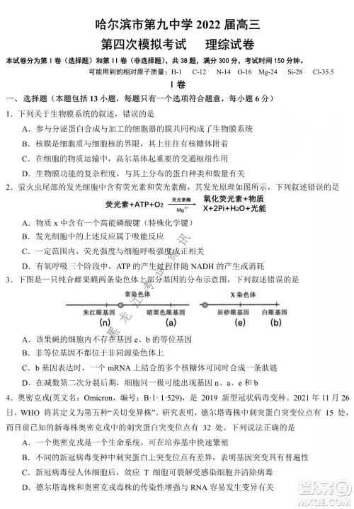 哈尔滨市第九中学2022届高三第四次模拟考试理科综合试卷及答案