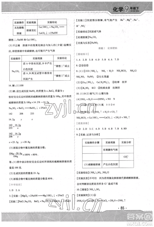 吉林出版集团股份有限公司2022精析巧练阶段验收与测试九年级下册化学人教版参考答案