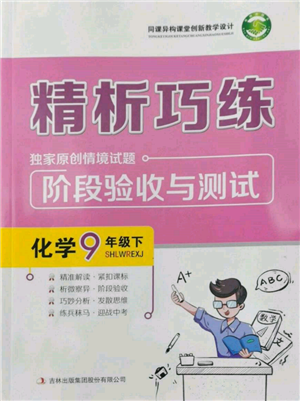 吉林出版集团股份有限公司2022精析巧练阶段验收与测试九年级下册化学人教版参考答案