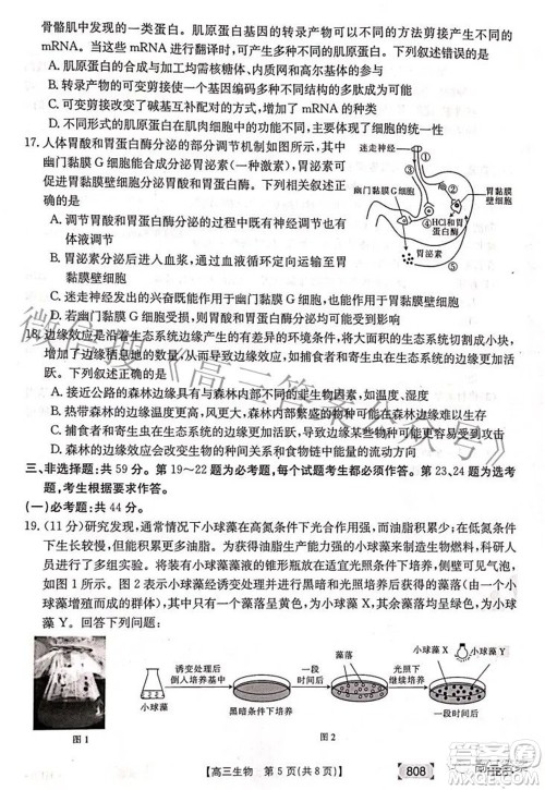 2022湖南金太阳五月联考高三生物试题及答案