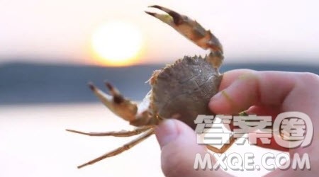 左手和右手的故事作文400字 写左手和右手的故事的作文400字 左手和右手的故事作文400字 写左手和右手的故事的作文400字