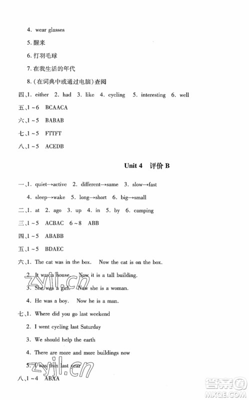 河北少年儿童出版社2022世超金典课时练测评试卷六年级英语下册人教版答案