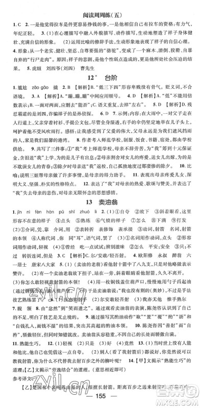 阳光出版社2022精英新课堂七年级语文下册RJ人教版答案 阳光出版社2022精英新课堂七年级语文下册RJ人教版答案