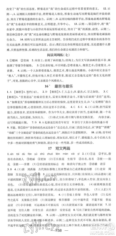 阳光出版社2022精英新课堂七年级语文下册RJ人教版答案 阳光出版社2022精英新课堂七年级语文下册RJ人教版答案