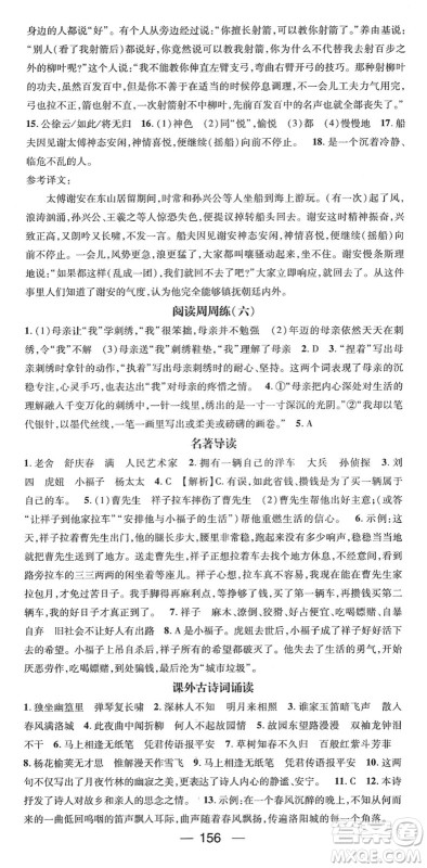 阳光出版社2022精英新课堂七年级语文下册RJ人教版答案 阳光出版社2022精英新课堂七年级语文下册RJ人教版答案
