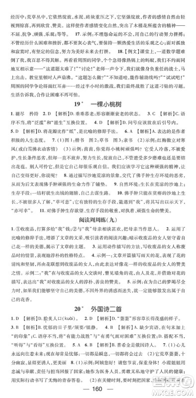 阳光出版社2022精英新课堂七年级语文下册RJ人教版答案 阳光出版社2022精英新课堂七年级语文下册RJ人教版答案