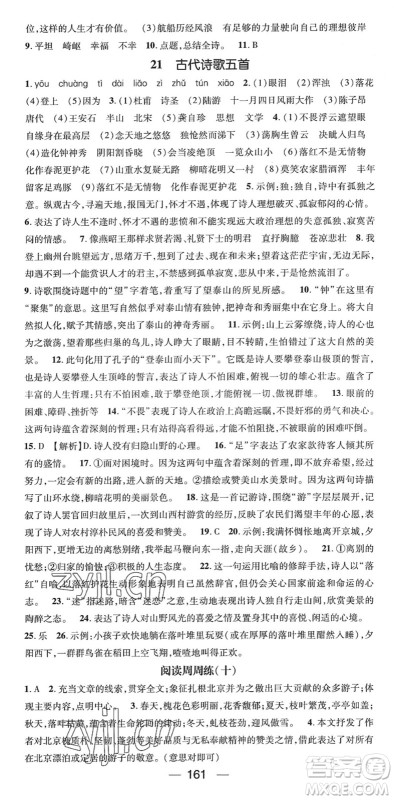 阳光出版社2022精英新课堂七年级语文下册RJ人教版答案 阳光出版社2022精英新课堂七年级语文下册RJ人教版答案