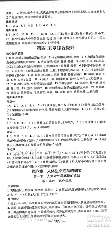 阳光出版社2022精英新课堂七年级生物下册RJ人教版答案 阳光出版社2022精英新课堂七年级生物下册RJ人教版答案