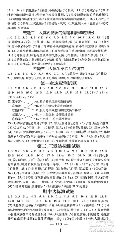 阳光出版社2022精英新课堂七年级生物下册RJ人教版答案 阳光出版社2022精英新课堂七年级生物下册RJ人教版答案