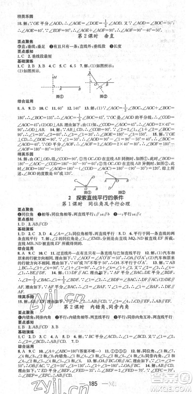 广东经济出版社2022精英新课堂七年级数学下册BS北师版答案 广东经济出版社2022精英新课堂七年级数学下册BS北师版答案