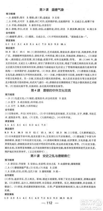 阳光出版社2022精英新课堂七年级历史下册RJ人教版答案