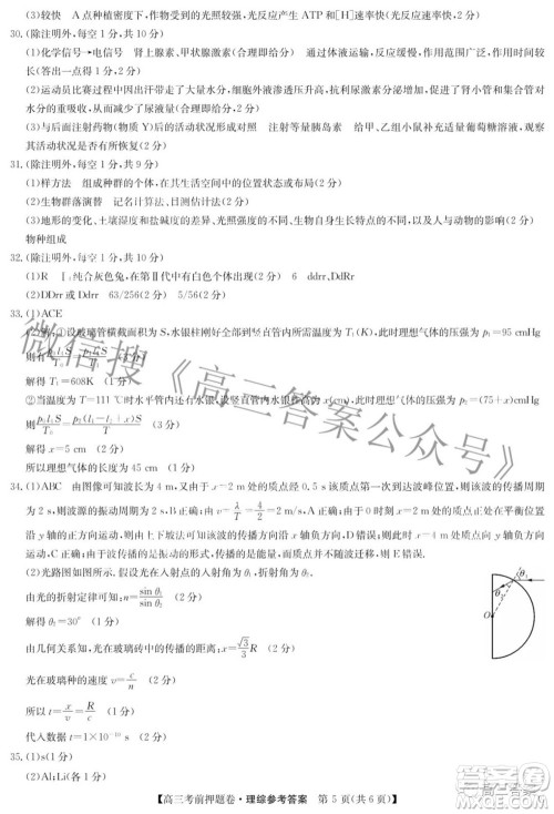 2022九师联盟考前押题卷G版文科数学答案 2022九师联盟考前押题卷G版文科数学答案