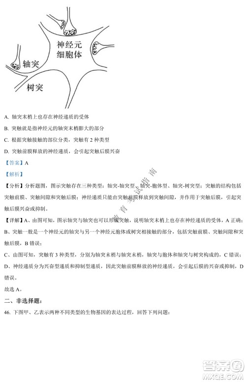 银川一中2021-2022学年度下高二期中考试生物试卷及答案 银川一中2021-2022学年度下高二期中考试生物试卷及答案