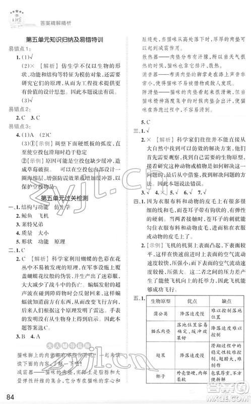 江西人民出版社2022王朝霞创维新课堂同步优化训练五年级科学下册DX大象版答案