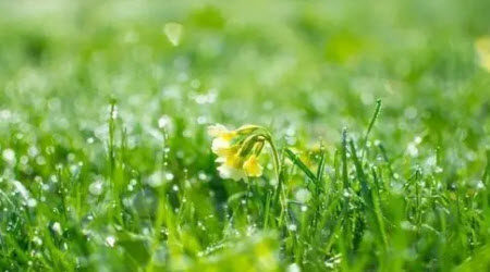 听雨作文400字 以听雨为题作文400字 听雨作文400字 以听雨为题作文400字