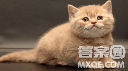 相信主题作文600字 以相信为主题的作文600字