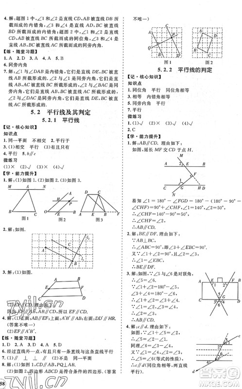 海南出版社2022知行课堂新课程同步练习册七年级数学下册人教版答案