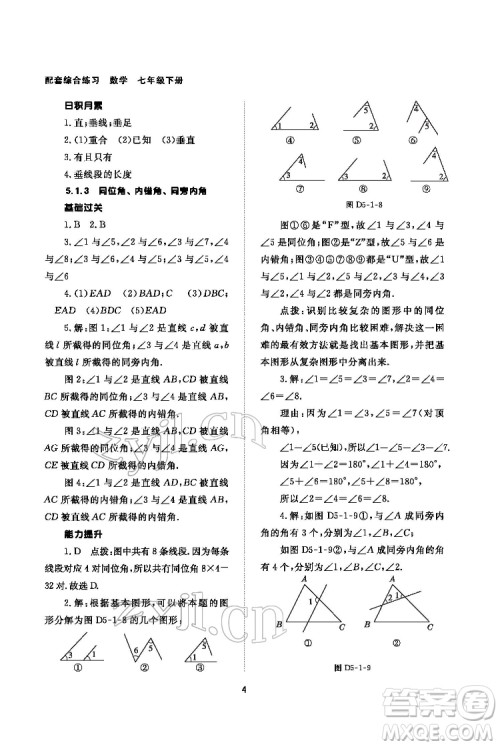 北京师范大学出版社2022数学配套综合练习七年级下册人教版答案