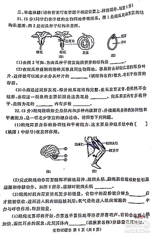 2022年郑州市中招适应性测试生物试卷及答案