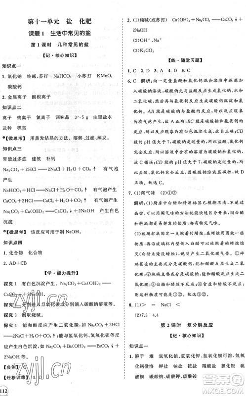 海南出版社2022知行课堂新课程同步练习册九年级化学下册人教版答案