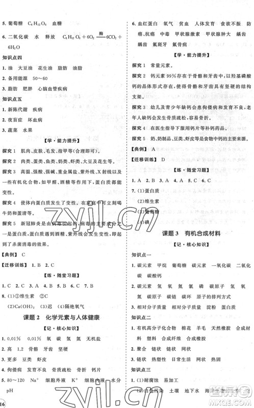 海南出版社2022知行课堂新课程同步练习册九年级化学下册人教版答案