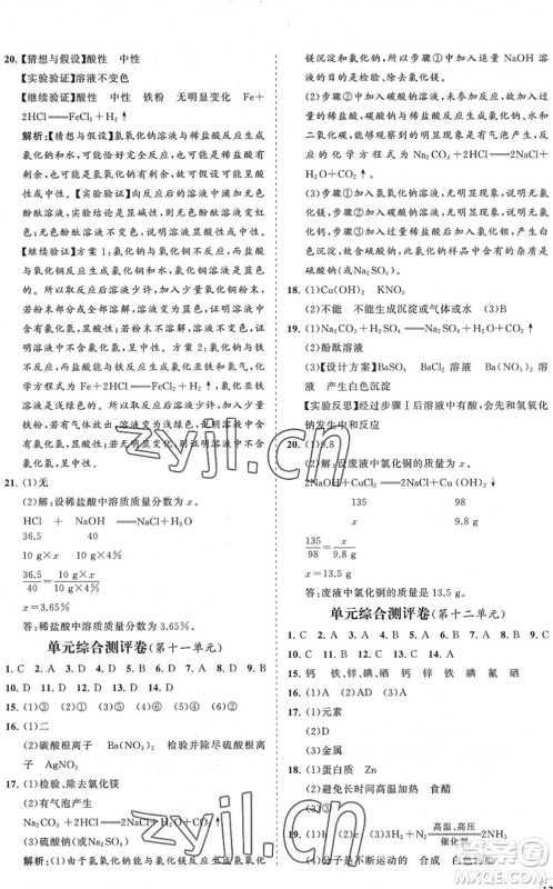 海南出版社2022知行课堂新课程同步练习册九年级化学下册人教版答案