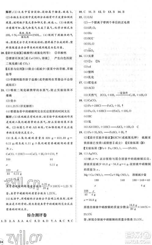 海南出版社2022知行课堂新课程同步练习册九年级化学下册人教版答案