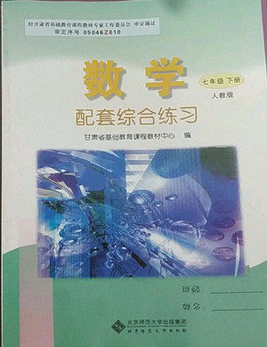 北京师范大学出版社2022数学配套综合练习七年级下册人教版答案