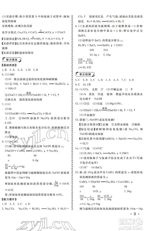 山东人民出版社2022初中卷行知天下九年级化学下册人教版答案