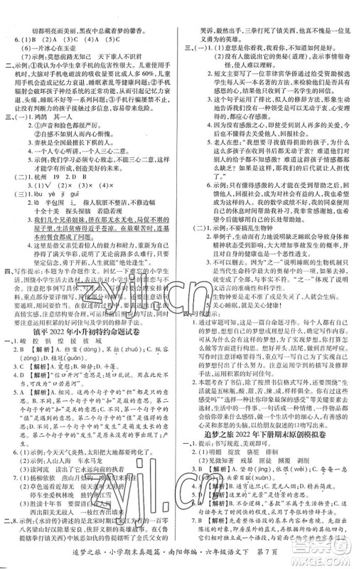 天津科学技术出版社2022追梦之旅小学期末真题篇六年级语文下册RJ人教版南阳专版答案 天津科学技术出版社2022追梦之旅小学期末真题篇六年级语文下册RJ人教版南阳专版答案