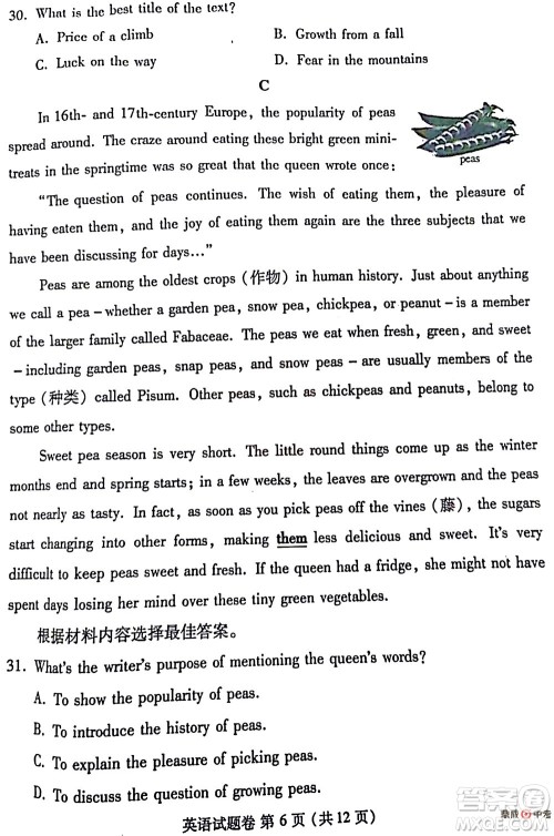 2022年郑州市中招适应性测试英语试卷及答案 2022年郑州市中招适应性测试英语试卷及答案