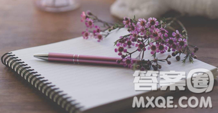 我与书的故事为题作文600字 关于我与书的故事为题的作文600字 我与书的故事为题作文600字 关于我与书的故事为题的作文600字