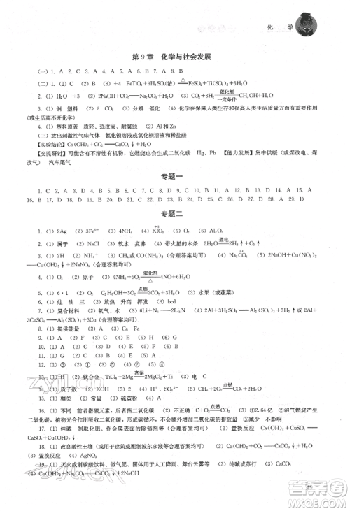 湖南人民出版社2022初中复习指导化学通用版参考答案