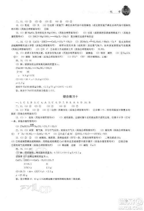 湖南人民出版社2022初中复习指导化学通用版参考答案