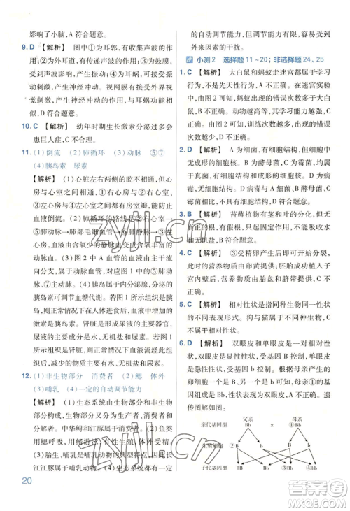 延边教育出版社2022金考卷百校联盟中考信息卷生物学通用版河南专版参考答案 延边教育出版社2022金考卷百校联盟中考信息卷生物学通用版河南专版参考答案