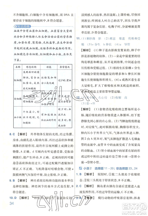 延边教育出版社2022金考卷百校联盟中考信息卷生物学通用版河南专版参考答案 延边教育出版社2022金考卷百校联盟中考信息卷生物学通用版河南专版参考答案