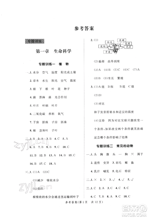 延边大学出版社2022小学总复习极速提分高效练案科学通用版参考答案