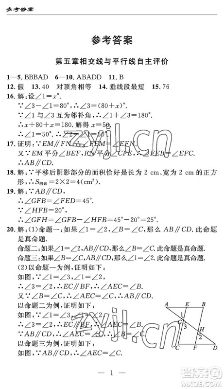 长江少年儿童出版社2022智慧课堂自主评价七年级数学下册通用版宜昌专版答案