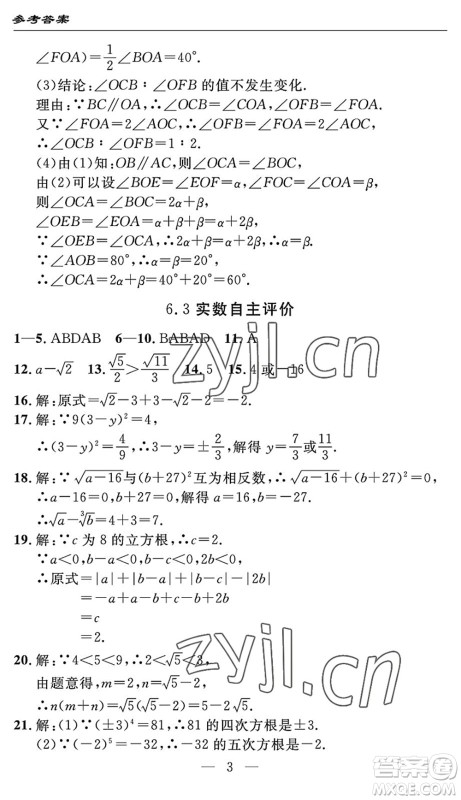 长江少年儿童出版社2022智慧课堂自主评价七年级数学下册通用版宜昌专版答案