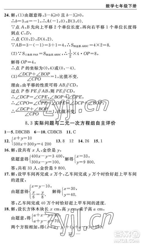 长江少年儿童出版社2022智慧课堂自主评价七年级数学下册通用版宜昌专版答案