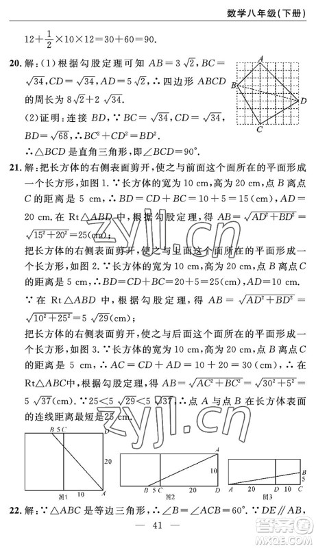 长江少年儿童出版社2022智慧课堂自主评价八年级数学下册通用版答案