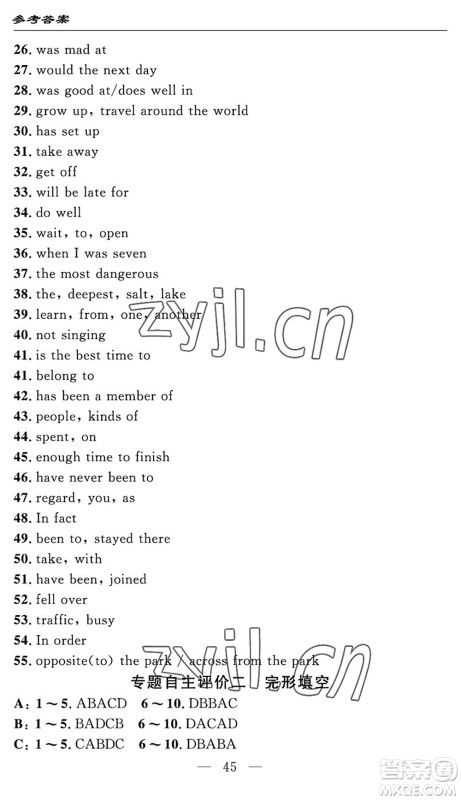 长江少年儿童出版社2022智慧课堂自主评价八年级英语下册通用版答案