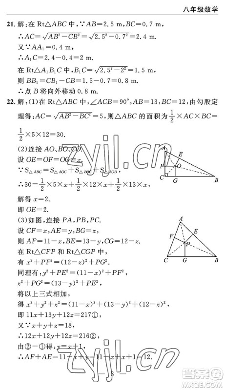 长江少年儿童出版社2022智慧课堂自主评价八年级数学下册通用版宜昌专版答案