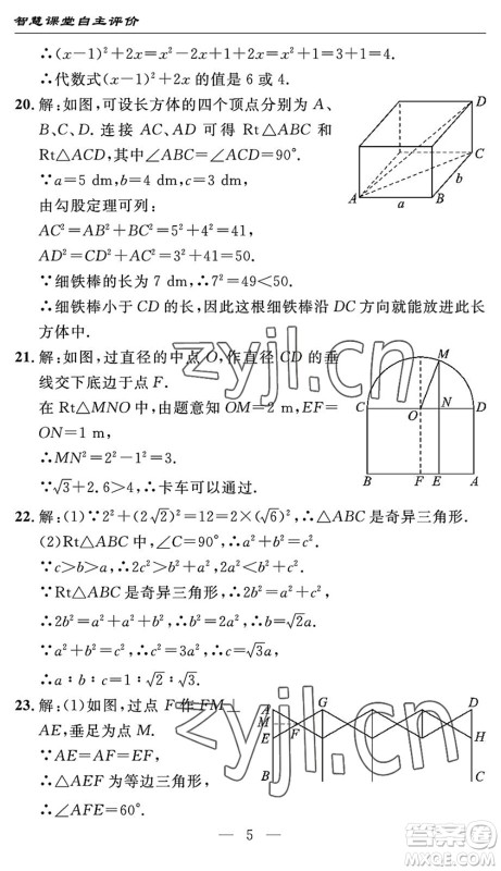 长江少年儿童出版社2022智慧课堂自主评价八年级数学下册通用版宜昌专版答案