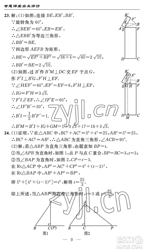 长江少年儿童出版社2022智慧课堂自主评价八年级数学下册通用版宜昌专版答案