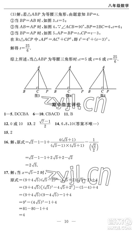 长江少年儿童出版社2022智慧课堂自主评价八年级数学下册通用版宜昌专版答案