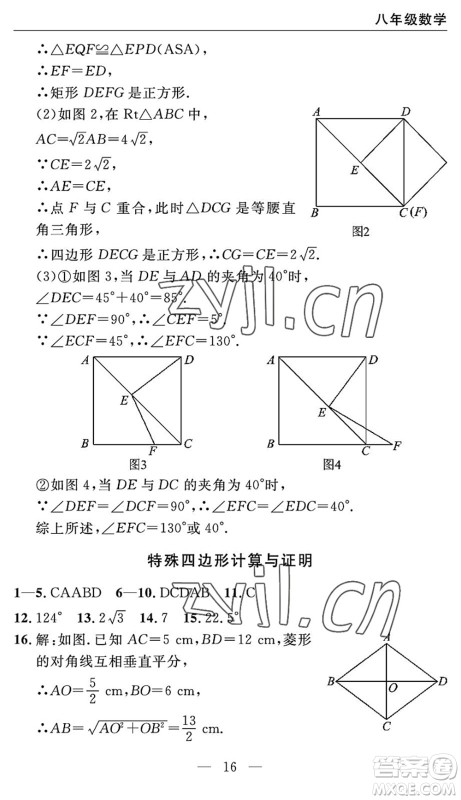 长江少年儿童出版社2022智慧课堂自主评价八年级数学下册通用版宜昌专版答案