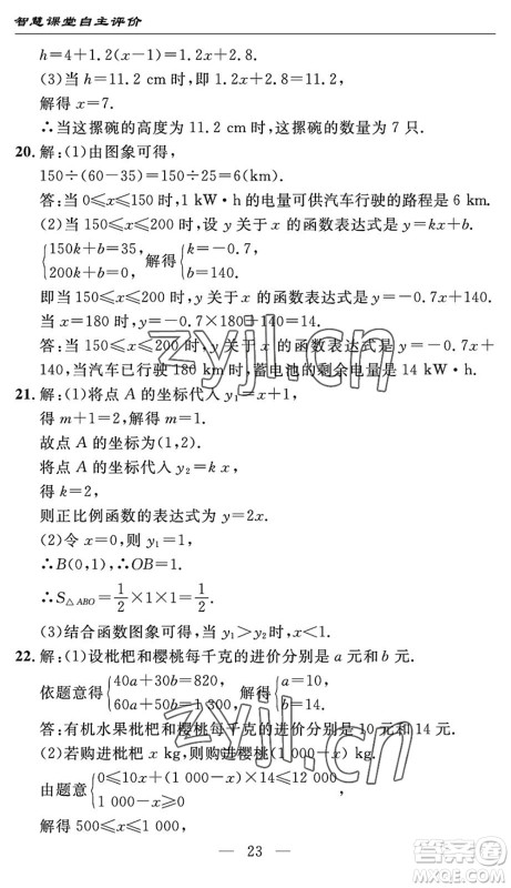 长江少年儿童出版社2022智慧课堂自主评价八年级数学下册通用版宜昌专版答案