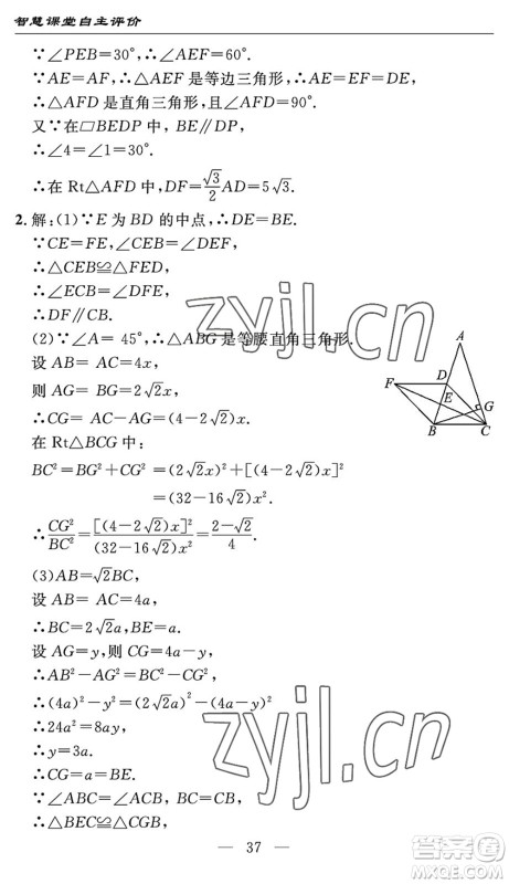 长江少年儿童出版社2022智慧课堂自主评价八年级数学下册通用版宜昌专版答案